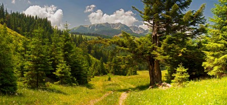 Nizke Tatry Janska dolina panorama 51